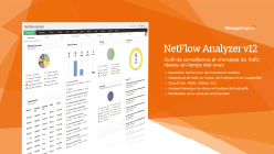 Netflow Analyser Datasheet