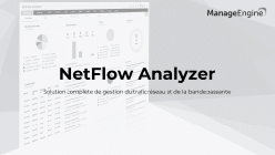 NetFlow Analyser Présentation